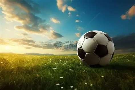 开云网页版 - 开云中国官方网站 - KAIYUN OFFICIAL